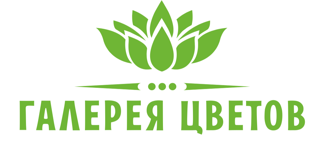 Галерея цветов